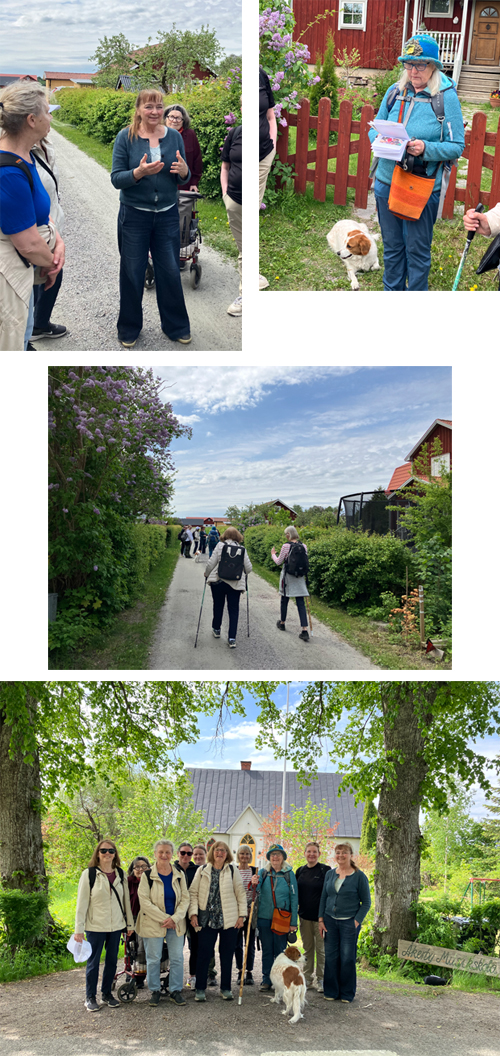 Pilgrimsvandring_2026