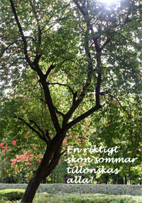 Juni 2017