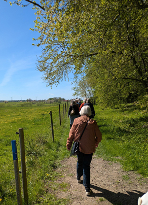 Pilgrimsvandring